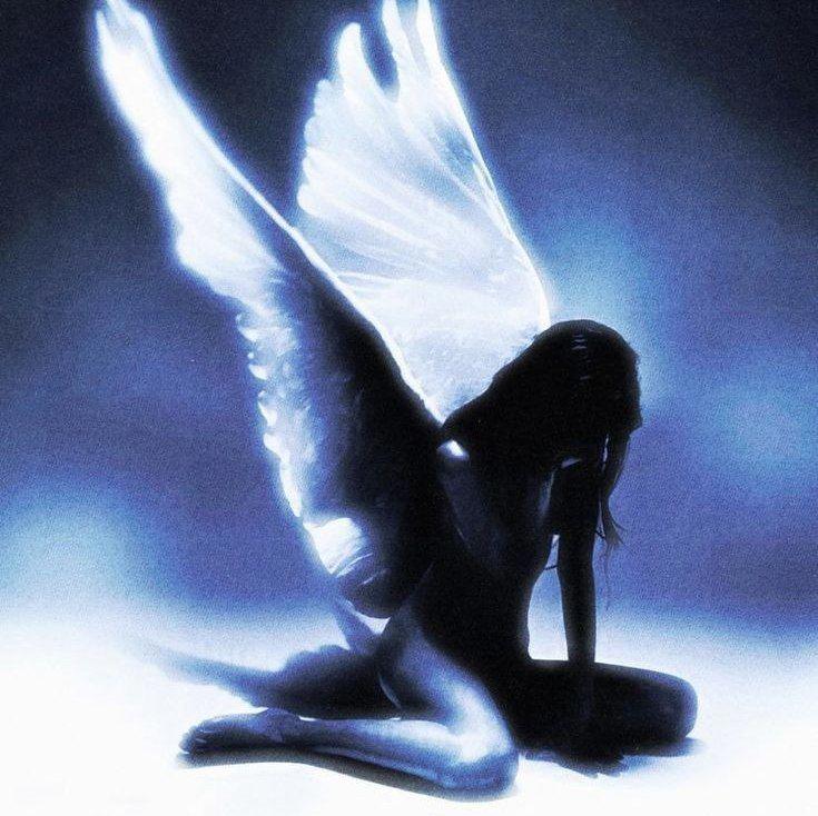 سمفونی سایه ها