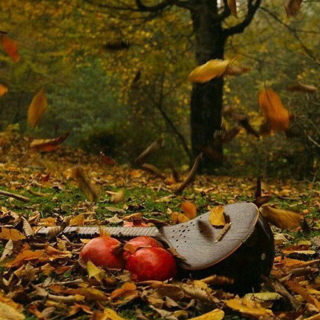 تصویر کانال