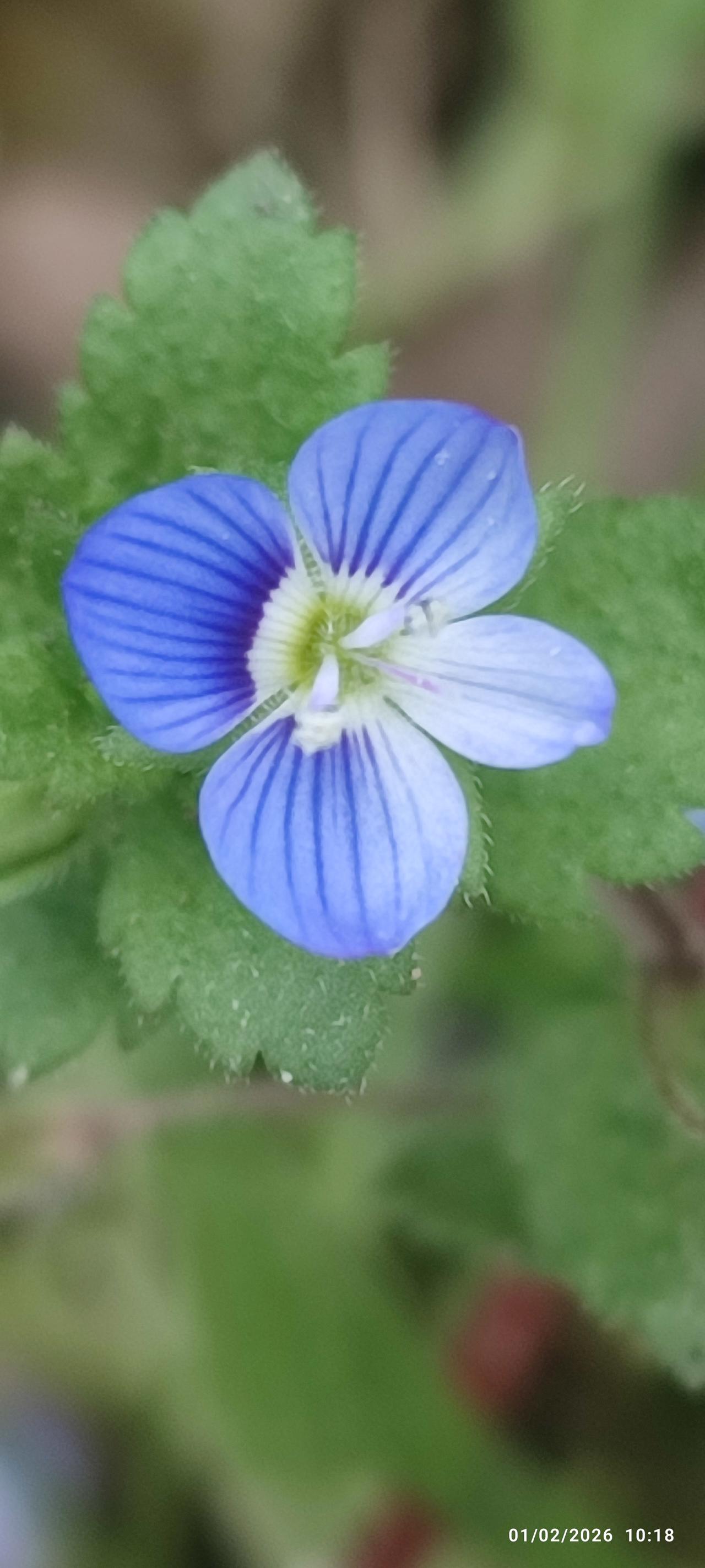 تنهایی همیشه بد نیست 
