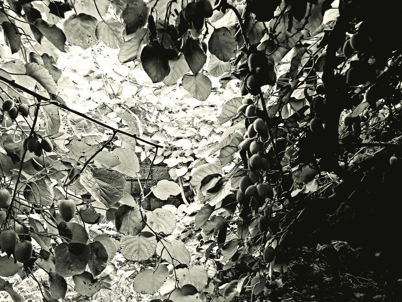 شعر و فلسفه