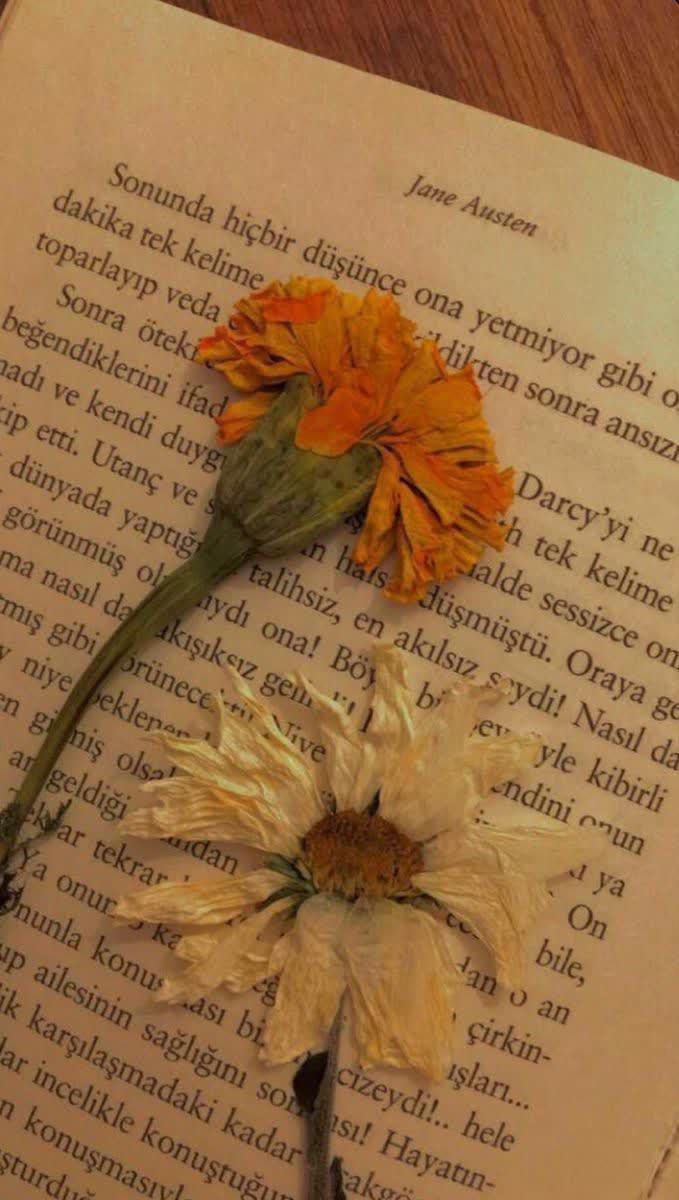 زبان احساس ها_وقتی نمیدانیم چه بگوییم