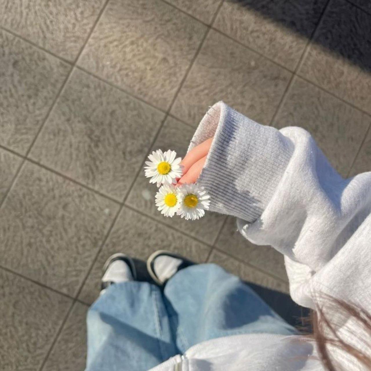 شروع ازادی در دنیای پرصدا