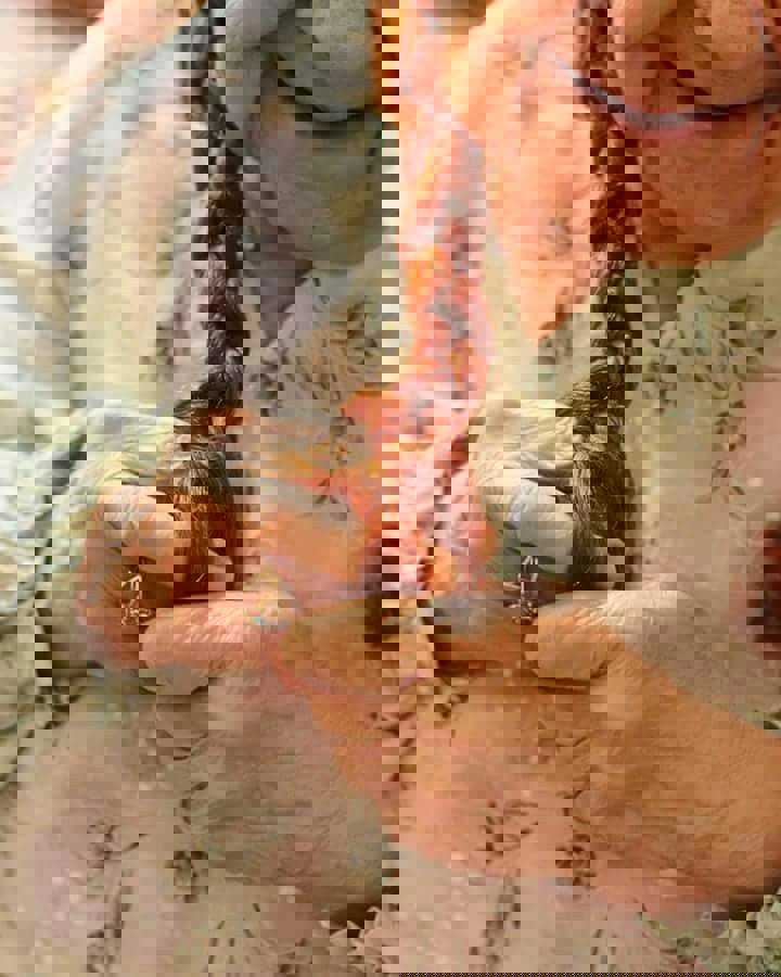 میم مثل مادر