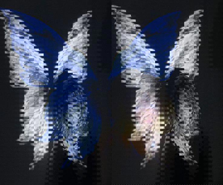 پادکست_دل همیشه دل میمونه