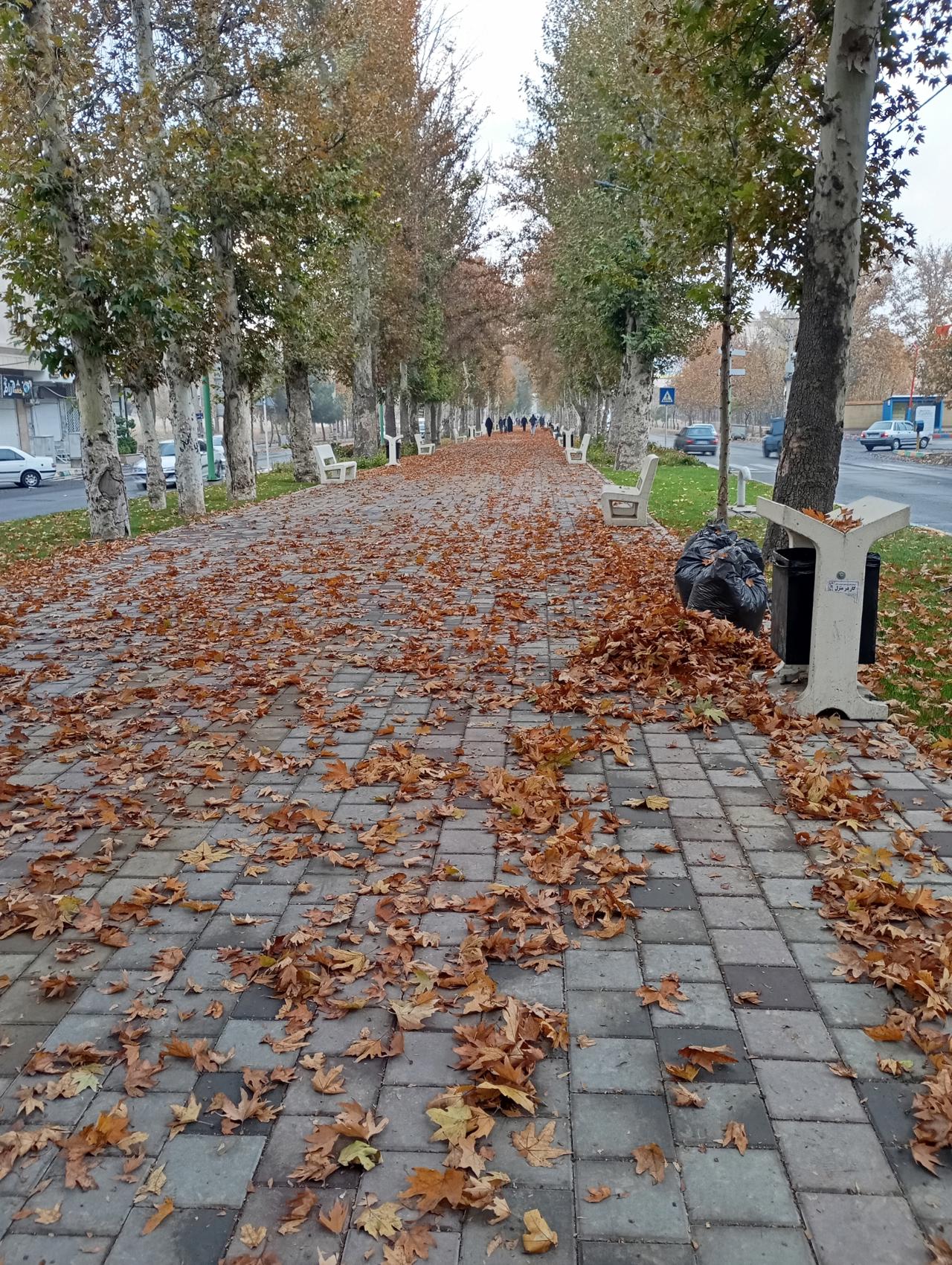 دولت کجامردم بی پول کجا