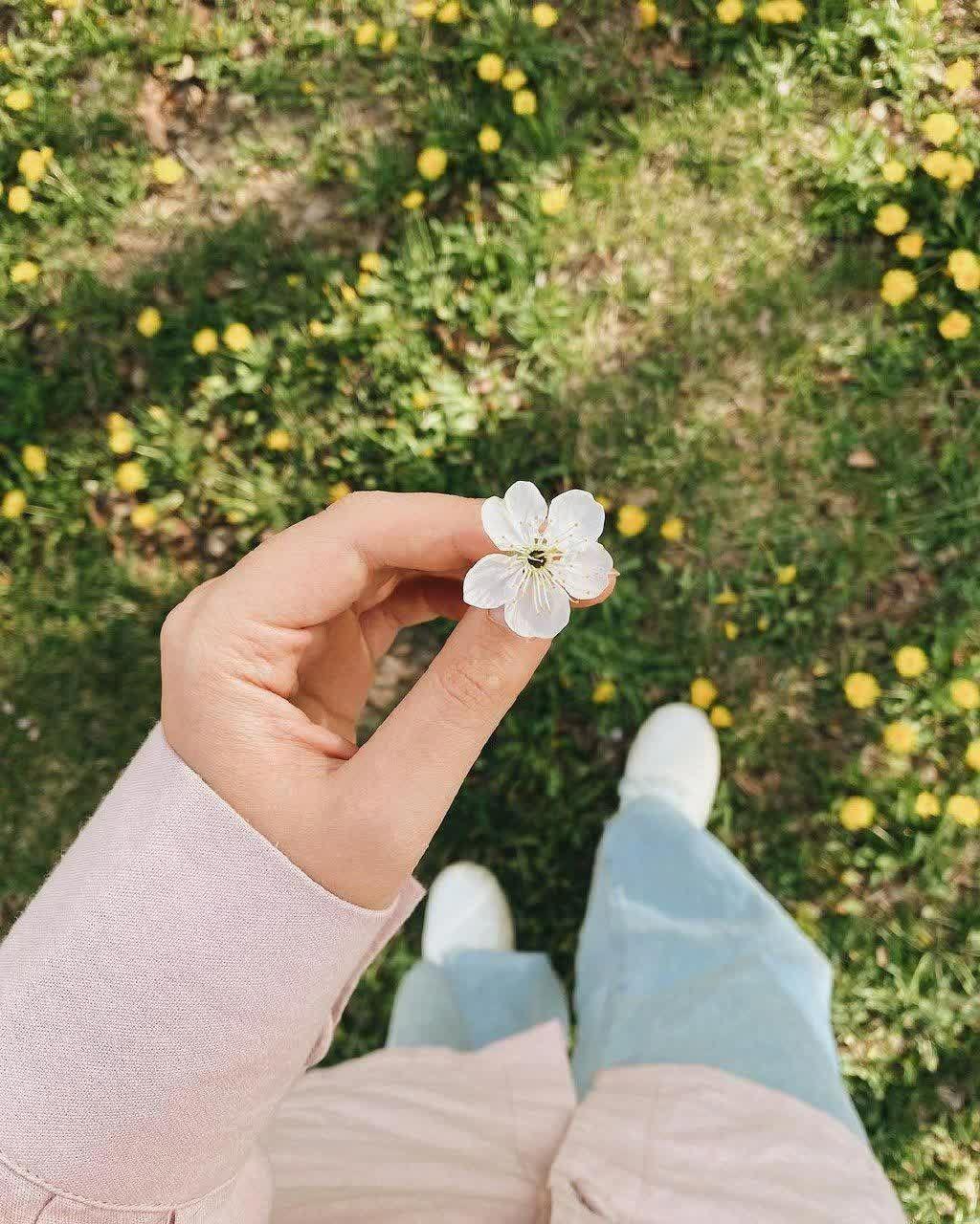 مش حسن و ماجرای قرص های مرگ زندگی