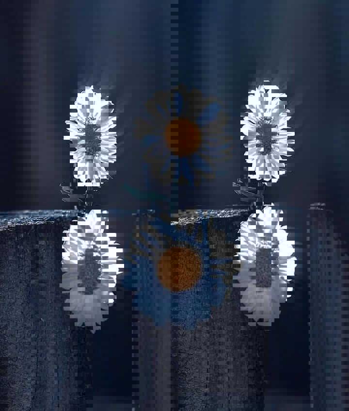 پادکست_عشق بدون خویشنن دوستی 