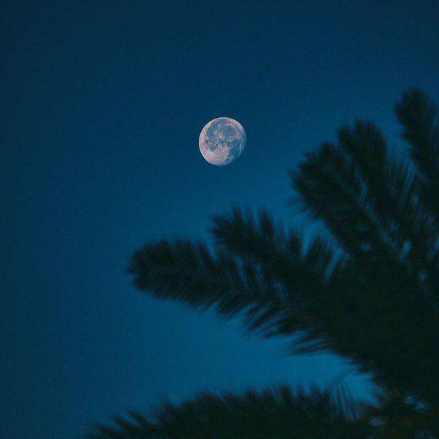 پادکست انسان پنهان