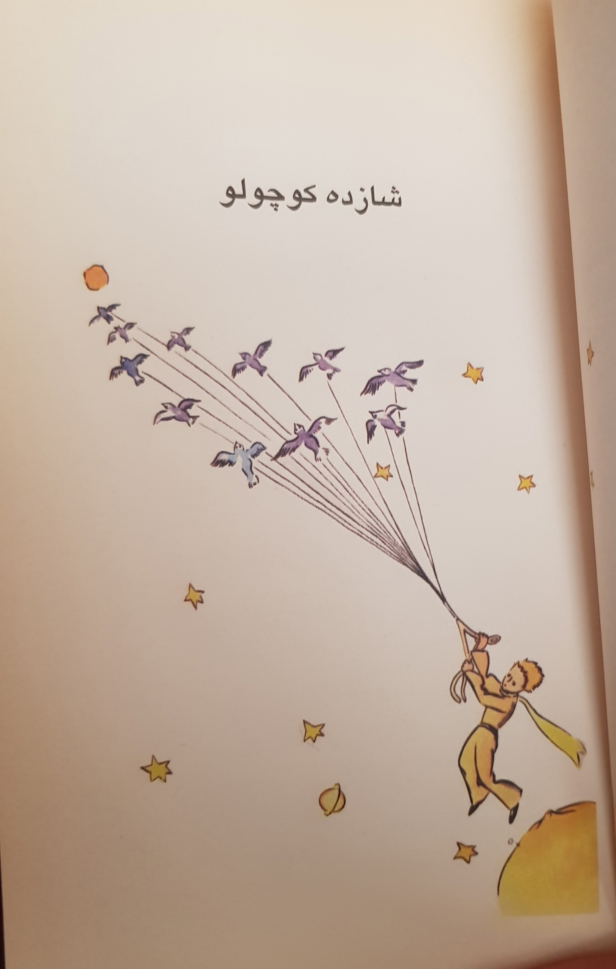 شازده کوچولو 