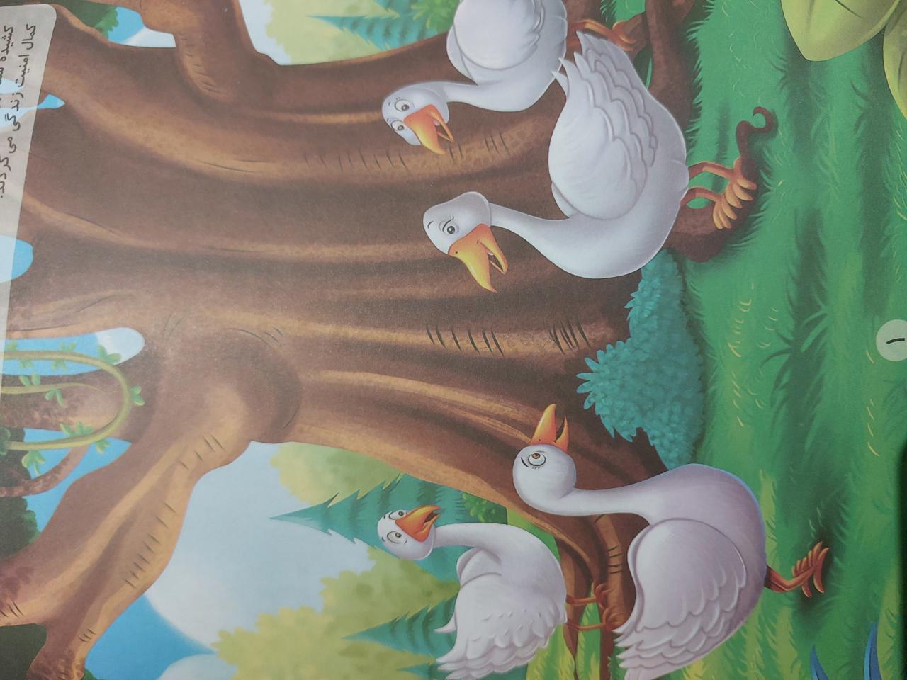 قوی دور اندیش