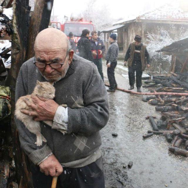 کلمه سه حرفی