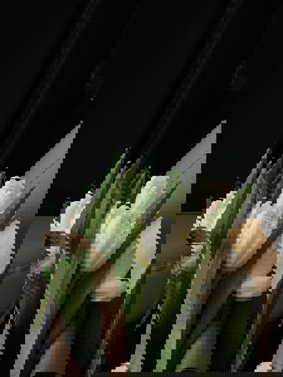 پل کلام_گره های ناگشوده