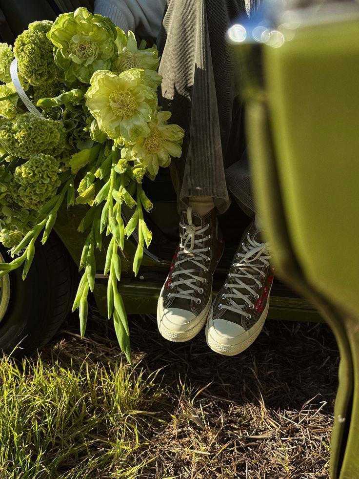 سنجاق های زرین وقفسه های خالی