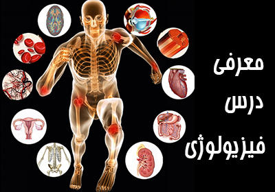 بافت همبند عصبی