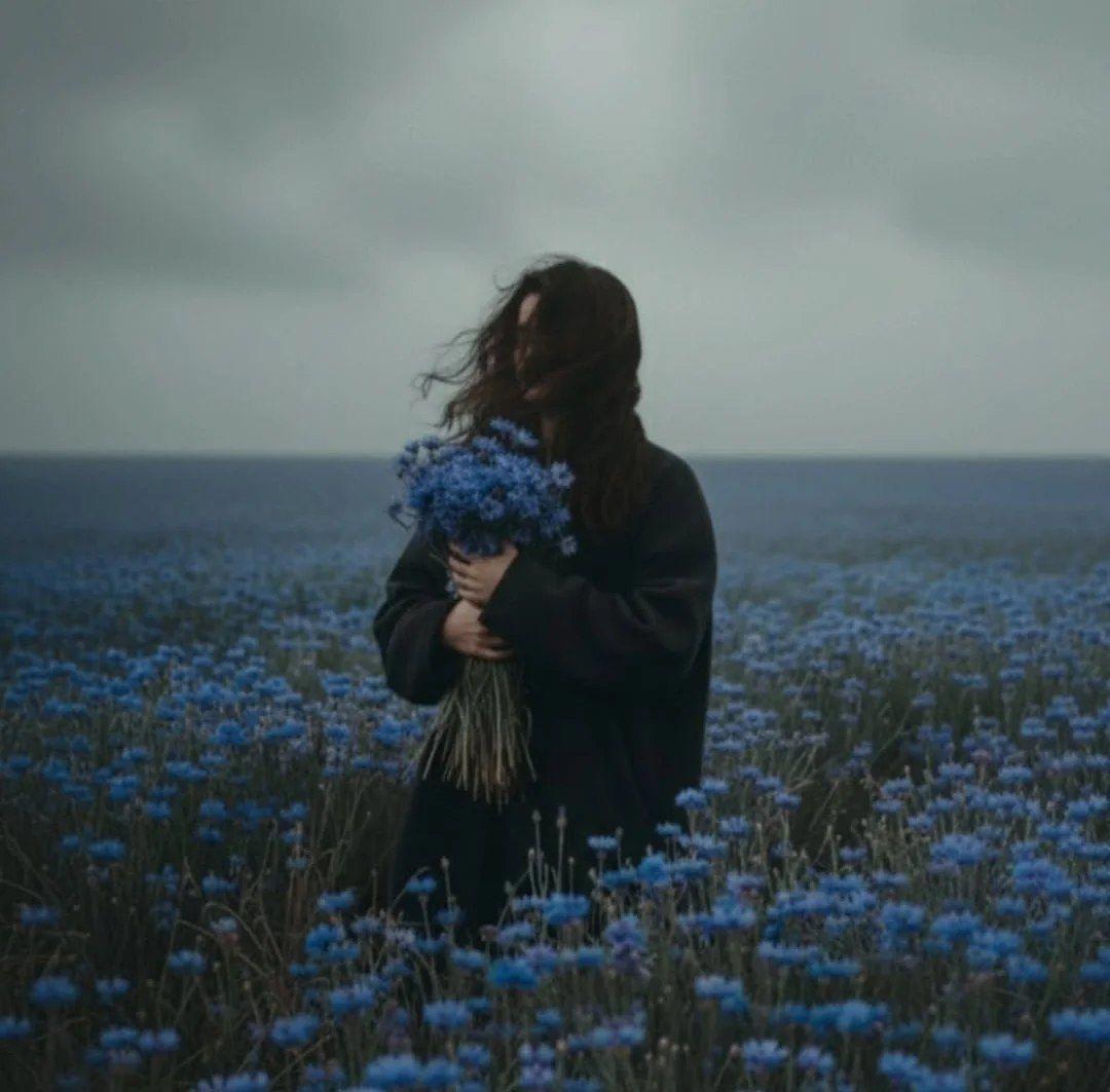 کلمه های که مارا میسازند 