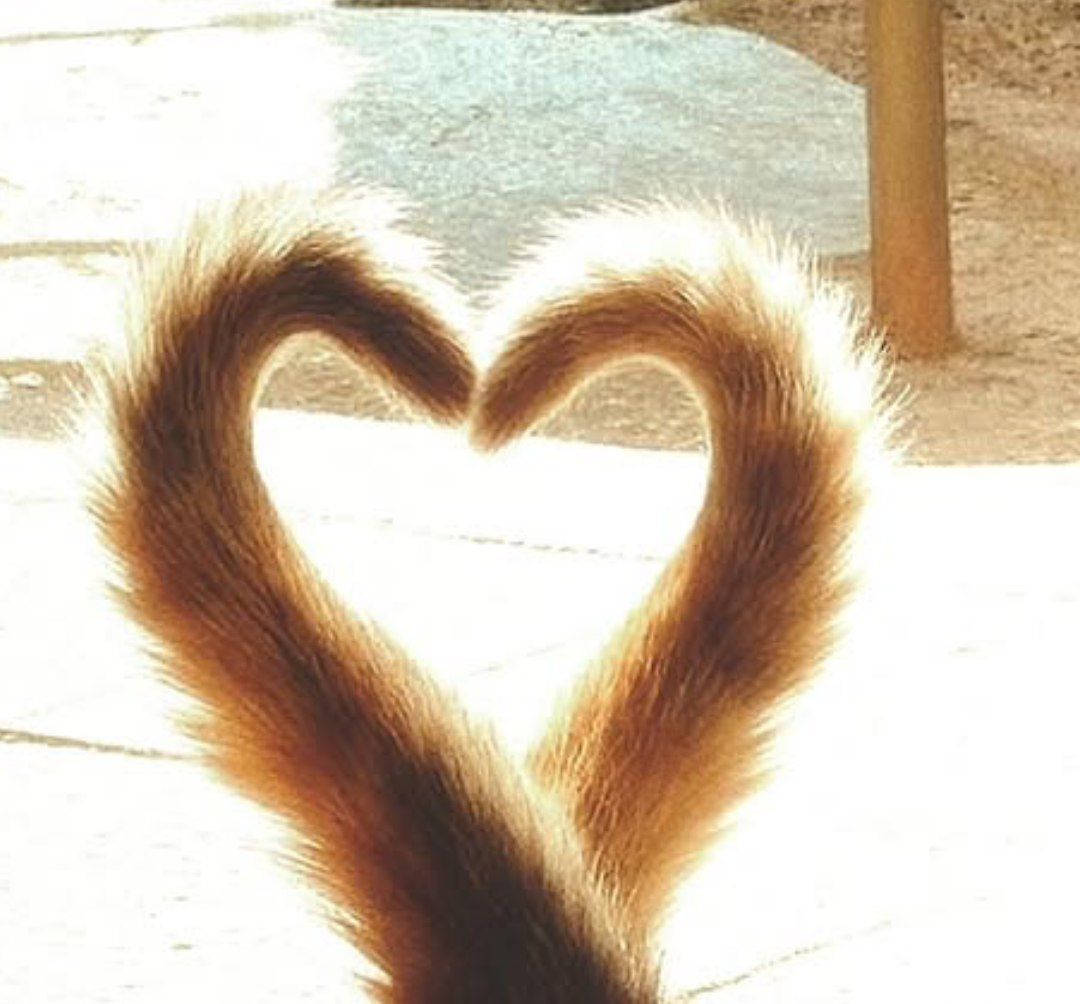 عشق از جایی که نمی دانیم 