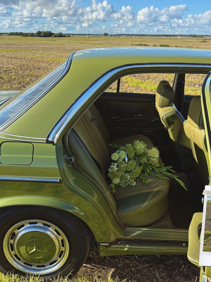 سنجاق های زرین و قفسه های خالی3