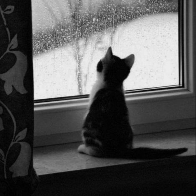 پادکست_سکوت