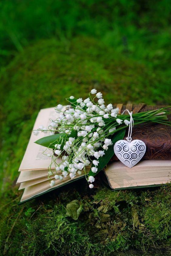 قدرت عادت های ارام