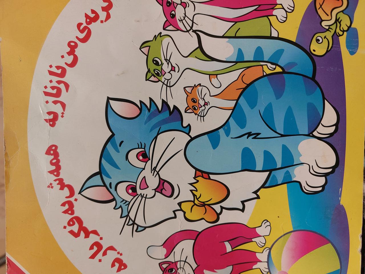 گربه من نازنازیه