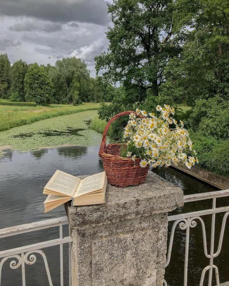 یادآوری های گم شده