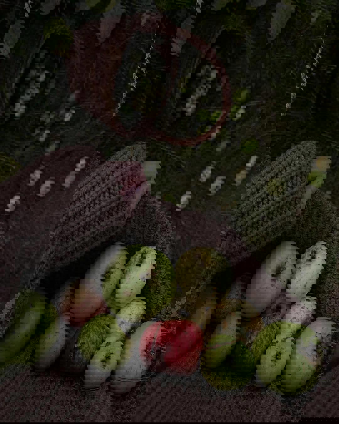 داستان _صندوقچه گمشده ی جادویی معمولی